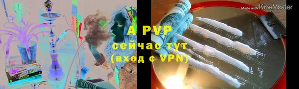хмурый Сосновка
