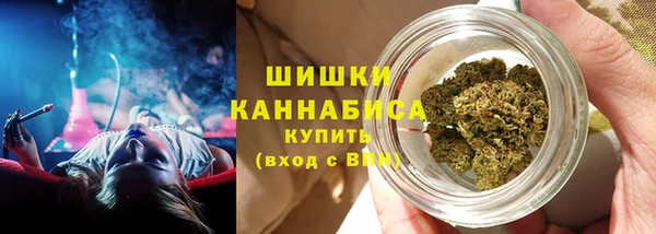 гашик Тайга